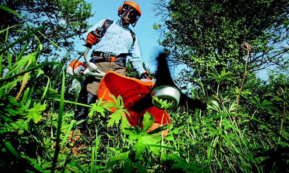 Lawn Care and Maintenance Lawn Care and Maintenance